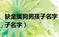 缺金属狗男孩子名字（好听文雅缺金属狗男孩子名字）