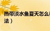 热带淡水鱼夏天怎么养（夏天养热带淡水鱼方法）