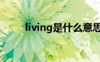 living是什么意思（living的意思）