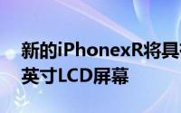 新的iPhonexR将具有与当前版本相同的6.1英寸LCD屏幕