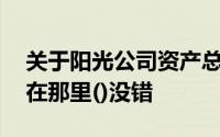 关于阳光公司资产总额和净资产总额的表述,在那里()没错