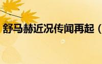 舒马赫近况传闻再起（媒体称活下去需奇迹）