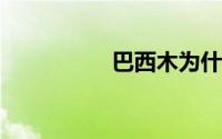 巴西木为什么叫幸运木