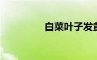 白菜叶子发黄是什么原因