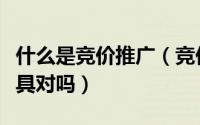 什么是竞价推广（竞价推广是一项精准营销工具对吗）