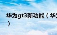 华为gt3新功能（华为gt3pro在哪开通esim）