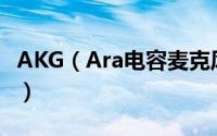 AKG（Ara电容麦克风评测  UP主的得力助手）