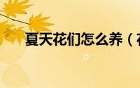 夏天花们怎么养（花在夏天如何养殖）
