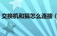 交换机和猫怎么连接（交换机和猫如何连接）
