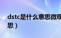 dstc是什么意思微观经济学（dstc是什么意思）