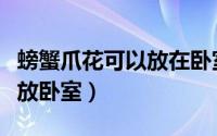 螃蟹爪花可以放在卧室里吗（螃蟹爪花能不能放卧室）