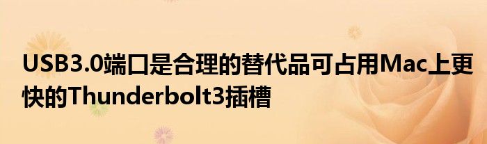 USB3.0端口是合理的替代品可占用Mac上更快的Thunderbolt3插槽