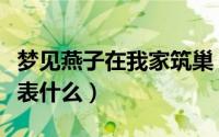梦见燕子在我家筑巢（梦见燕子在我家筑巢代表什么）