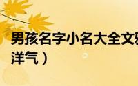 男孩名字小名大全文雅好听（男宝宝小名大全洋气）