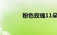 粉色玫瑰11朵代表什么意思