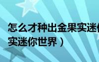 怎么才种出金果实迷你世界（如何才种出金果实迷你世界）