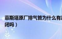 菲斯塔原厂排气管为什么有声浪（菲斯塔排气声浪可调节关闭吗）