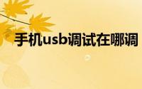 手机usb调试在哪调（手机usb调试在哪）