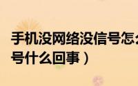 手机没网络没信号怎么回事（手机没网络没信号什么回事）