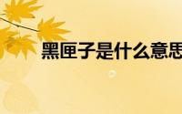 黑匣子是什么意思（黑匣子的解释）
