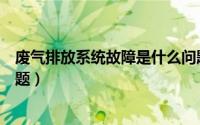 废气排放系统故障是什么问题（废气排放系统故障是什么问题）