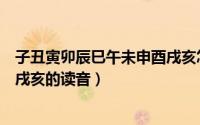 子丑寅卯辰巳午未申酉戌亥怎么读（子丑寅卯辰巳午未申酉戌亥的读音）
