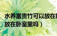 水养富贵竹可以放在卧室里吗（水养富贵竹能放在卧室里吗）