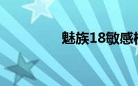 魅族18敏感权限提醒在哪