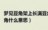 梦见豆角架上长满豆角（梦见豆角架上长满豆角什么意思）