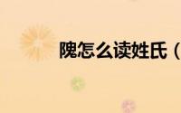 隗怎么读姓氏（隗姓氏的简介）