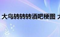 大鸟转转转酒吧梗图 大鸟转转转酒吧什么梗 