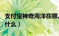 支付宝神奇海洋在哪儿找（支付宝神奇海洋是什么）