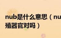 nub是什么意思（nub是胎儿未发育成熟的生殖器官对吗）