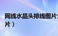 网线水晶头排线图片大图（网线水晶头排线图片）