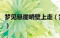 梦见悬崖峭壁上走（梦见悬崖峭壁上走好不好）