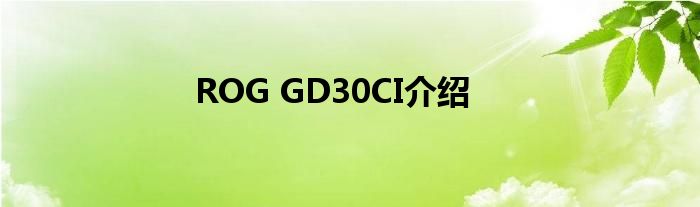 ROG GD30CI介绍