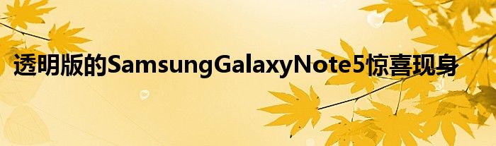 透明版的SamsungGalaxyNote5惊喜现身