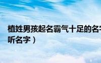 植姓男孩起名霸气十足的名字（植姓男孩起名霸气十足的好听名字）