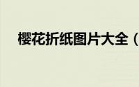 樱花折纸图片大全（樱花折纸图解教程）