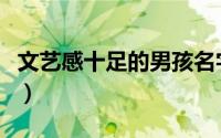 文艺感十足的男孩名字（文艺高冷的男孩名字）