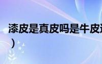 漆皮是真皮吗是牛皮还是羊皮（漆皮是真皮吗）