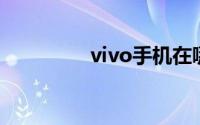 vivo手机在哪里调大字体