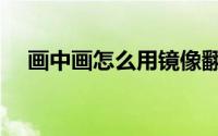 画中画怎么用镜像翻转（画中画怎么用）