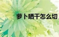 萝卜晒干怎么切（晒萝卜的切法）