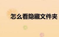 怎么看隐藏文件夹（怎么看隐藏文件）