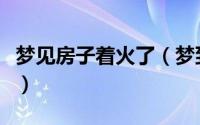 梦见房子着火了（梦到房子着火了预示着什么）