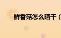 鲜香菇怎么晒干（鲜香菇晒干方法）
