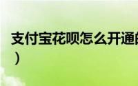 支付宝花呗怎么开通的（支付宝花呗怎么开通）