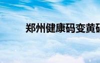 郑州健康码变黄码怎么快速变绿码