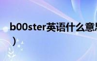 b00ster英语什么意思（b00ster是什么意思）